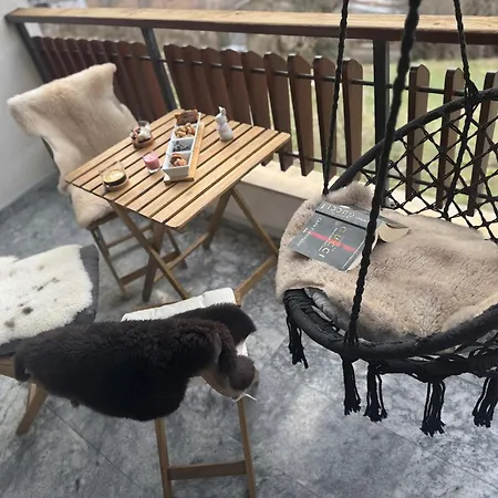 Boris's Guest Tjepelare