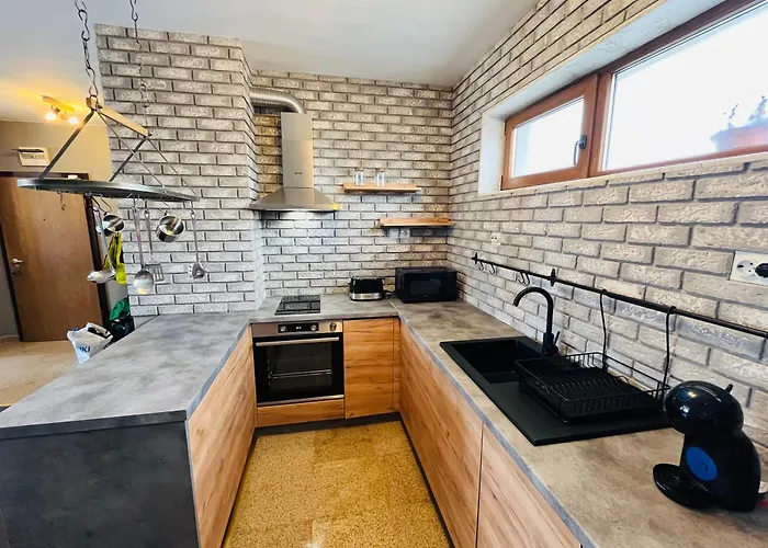 Boris's Guest Apartmán