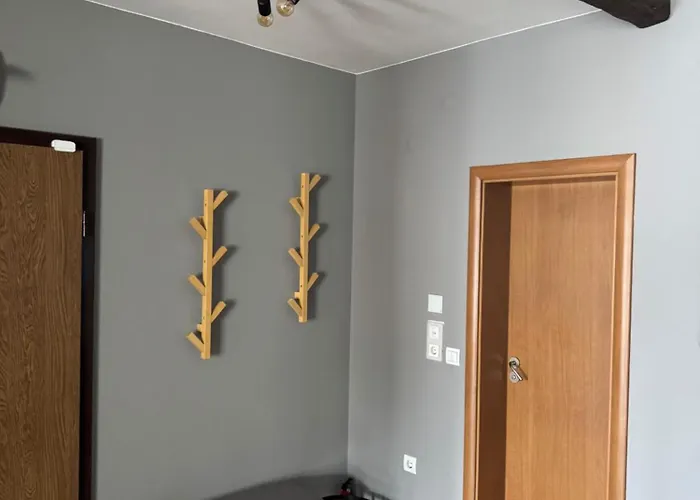 Boris's Guest Tjepelare